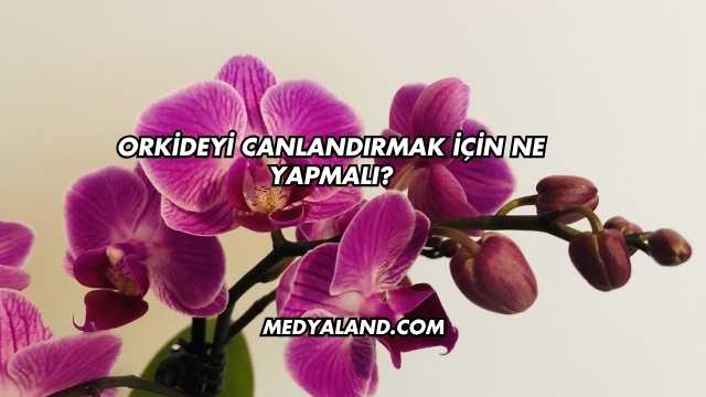Orkideyi Canlandırmak İçin Ne Yapmalı?