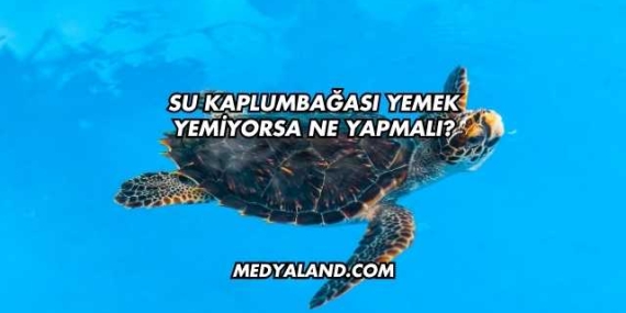 Su Kaplumbağası Yemek Yemiyorsa Ne Yapmalı?