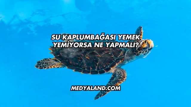 Su Kaplumbağası Yemek Yemiyorsa Ne Yapmalı?