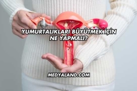 Yumurtalıkları Büyütmek İçin Ne Yapmalı