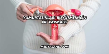 Yumurtalıkları Büyütmek İçin Ne Yapmalı