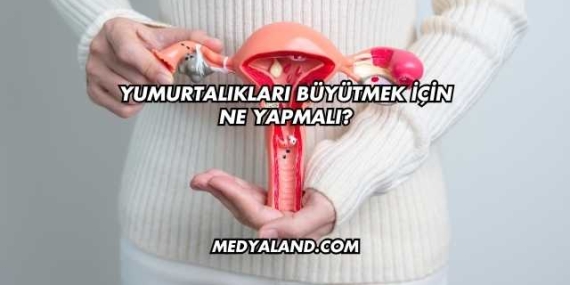 Yumurtalıkları Büyütmek İçin Ne Yapmalı?