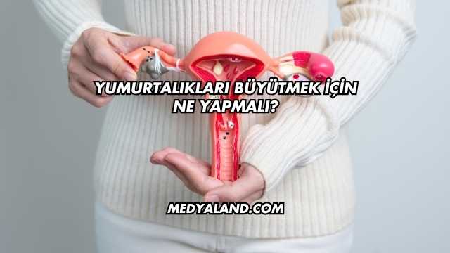 Yumurtalıkları Büyütmek İçin Ne Yapmalı