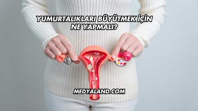 Yumurtalıkları Büyütmek İçin Ne Yapmalı