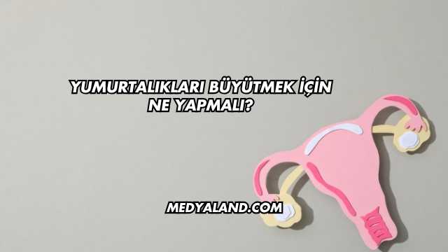 Yumurtalıkları Büyütmek İçin Ne Yapmalı
