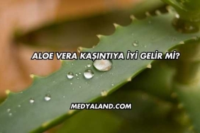 Aloe Vera Kaşıntıya İyi Gelir mi?