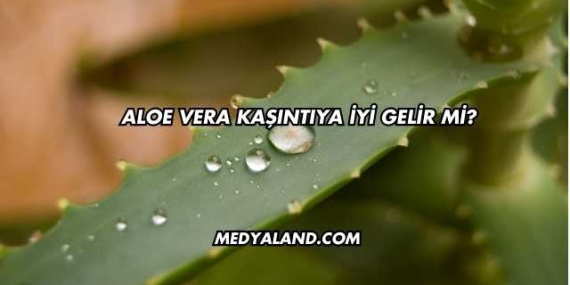 Aloe Vera Kaşıntıya İyi Gelir mi?