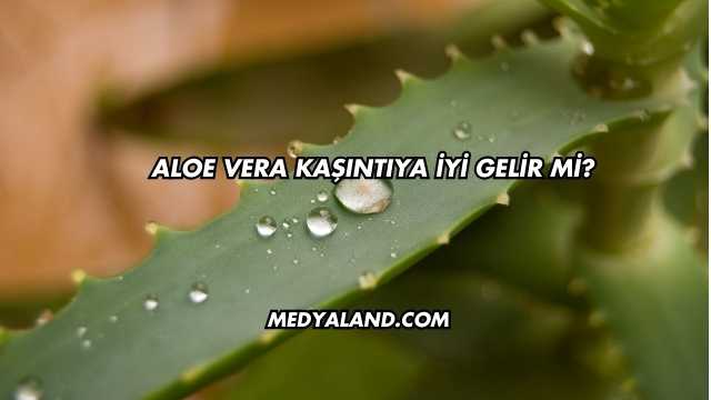 Aloe Vera Kaşıntıya İyi Gelir mi?