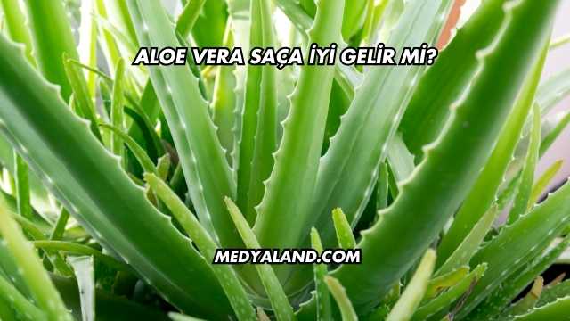 Aloe Vera Saça İyi Gelir mi?