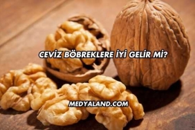 Ceviz Böbreklere İyi Gelir mi?