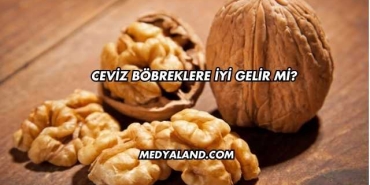 Ceviz Böbreklere İyi Gelir mi?