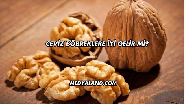 Ceviz Böbreklere İyi Gelir mi?