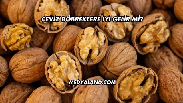 Ceviz Böbreklere İyi Gelir mi?