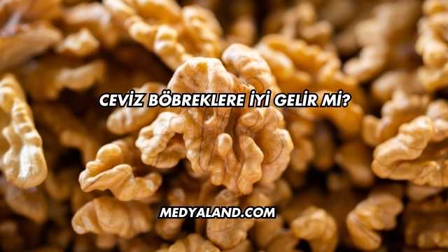 Ceviz Böbreklere İyi Gelir mi?