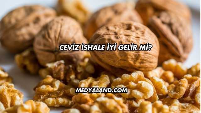 Ceviz İshale İyi Gelir mi?