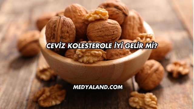 Ceviz Kolesterole İyi Gelir mi?
