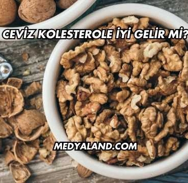 Ceviz Kolesterole İyi Gelir mi?