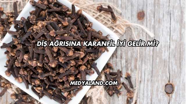 Diş Ağrısına Karanfil İyi Gelir mi?