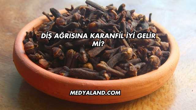 Diş Ağrısına Karanfil İyi Gelir mi?