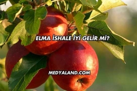 Elma İshale İyi Gelir mi?