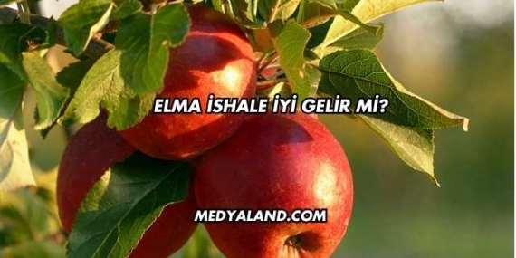 Elma İshale İyi Gelir mi?
