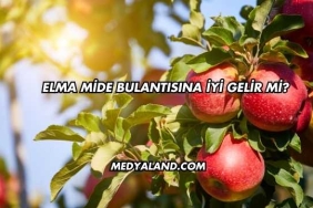 Elma Mide Bulantısına İyi Gelir mi?