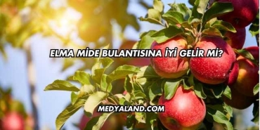 Elma Mide Bulantısına İyi Gelir mi?