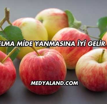 Elma Mide Yanmasına İyi Gelir mi?