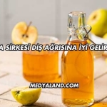 Elma Sirkesi Diş Ağrısına İyi Gelir mi?