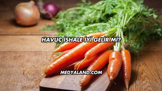 Havuç İshale İyi Gelir mi?