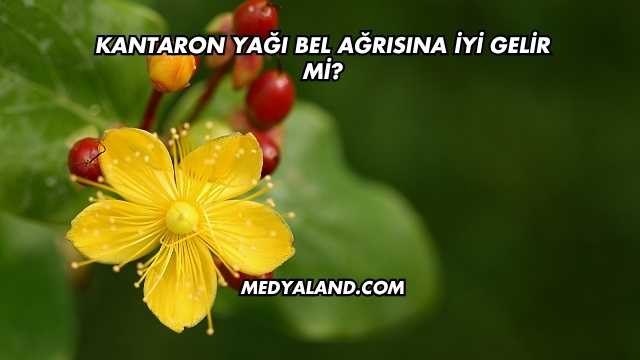 Kantaron Yağı Bel Ağrısına İyi Gelir mi?