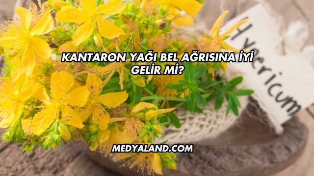 Kantaron Yağı Bel Ağrısına İyi Gelir mi?