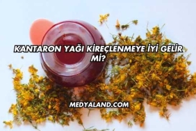 Kantaron Yağı Kireçlenmeye İyi Gelir mi?