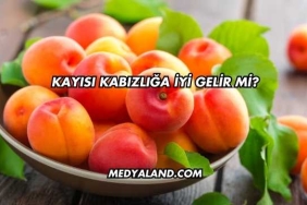 Kayısı Kabızlığa İyi Gelir mi?