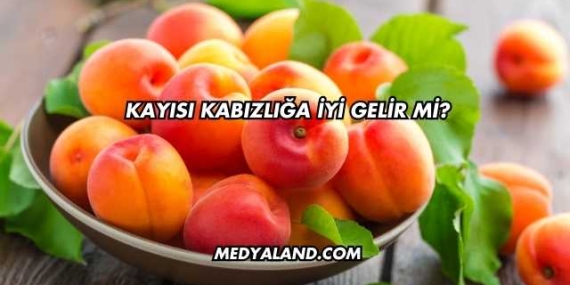 Kayısı Kabızlığa İyi Gelir mi?