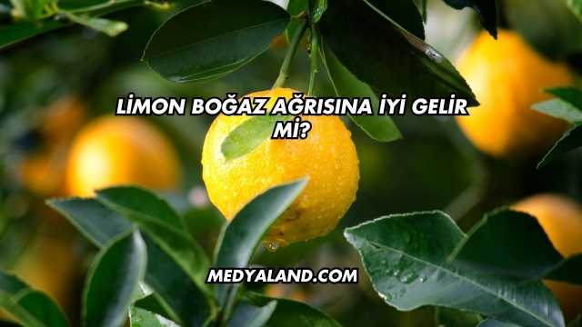 Limon Boğaz Ağrısına İyi Gelir mi?