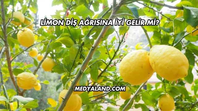 Limon Diş Ağrısına İyi Gelir mi?