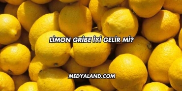 Limon Gribe İyi Gelir mi?