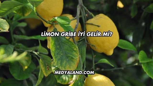 Limon Gribe İyi Gelir mi?