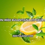 Limon Mide Bulantısına İyi Gelir mi?