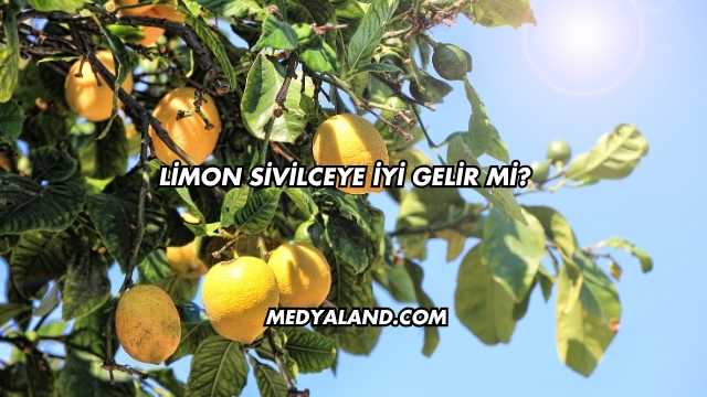 Limon Sivilceye İyi Gelir mi?