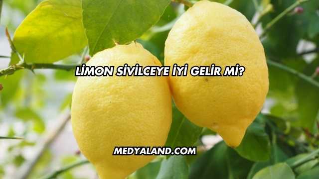 Limon Sivilceye İyi Gelir mi?
