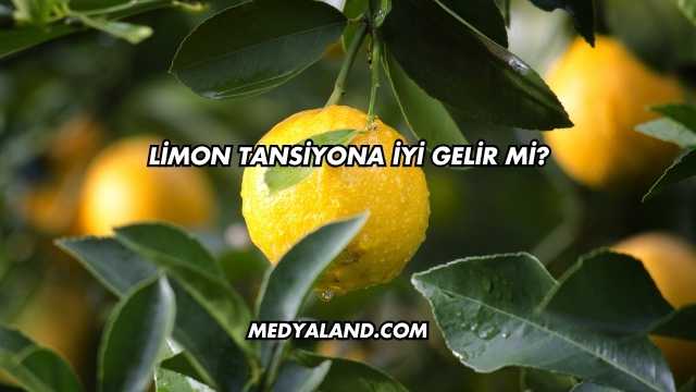 Limon Tansiyona İyi Gelir mi?