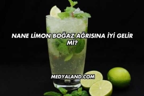 Nane Limon Boğaz Ağrısına İyi Gelir mi?