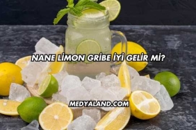 Nane Limon Gribe İyi Gelir mi?