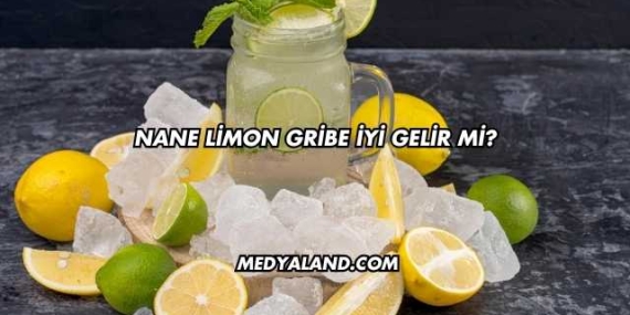 Nane Limon Gribe İyi Gelir mi?