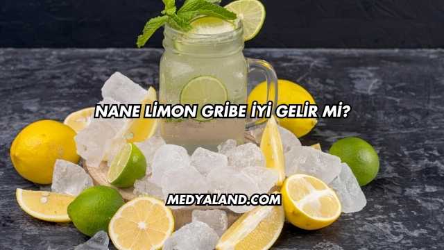 Nane Limon Gribe İyi Gelir mi?