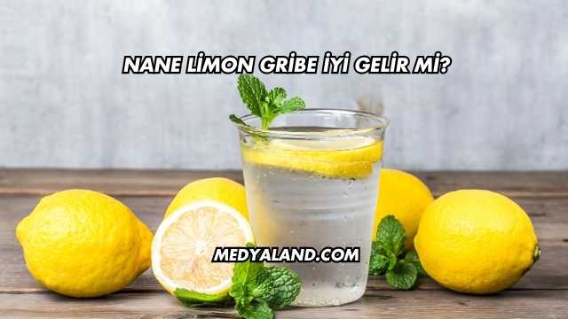 Nane Limon Gribe İyi Gelir mi?