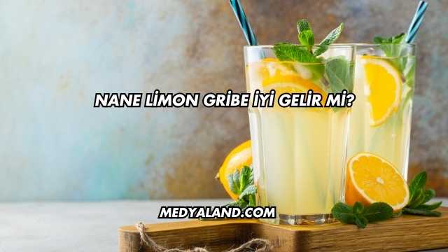 Nane Limon Gribe İyi Gelir mi?