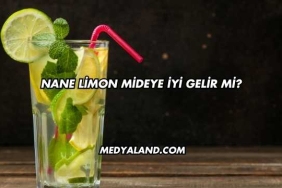 Nane Limon Mideye İyi Gelir mi?